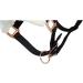 Shop Marengos Halter Set with Lead Rope - Elegant Black/Rose Gold for Warmbloods | International Shipping Available - Buy Online on SooperMarket.com
