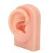 Human Ear Model Soft Flexible Easy To Use Reusable Simulated Ear Model Right Ear for Headphones Display for Acupuncture Practical Training(Light Skin Color)