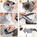 BT Bear Pet Surgery Recovery Suits Cats Clothes Abdominal Wounds Skin Diseases E-Collar Alternative Cotton Cat Shirt for Cats Puppy Small Dogs (XXS-Back length 25cm) XXS--Back length 25cm Chest--27cm - Buy Online on SooperMarket.com