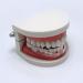 EXCEART Sleeping Tooth Guard - Ready-to-Use Children's Dental Guard for Upper or Lower Jaw - Pain Relief for Adults and Kids - Buy Online on SooperMarket.com