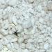 Buy Lucky Reptile HR-2 HatchRite 2L - Premium Breeding Substrate for Reptiles | Fast International Shipping - Buy Online on SooperMarket.com