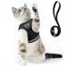 Supet cat dishes Breakfast Cat lines with dishes for cats soft cats vest with leash for kitten dogs chihuahua (L black) l (breast size: 38-43 cm) black