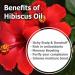 Hibiscus Sabdariffa L Essential Oil 50ML - 100% Pure Uncut Cold Pressed Premium Aromatherapy Oil - Buy Online on SooperMarket.com