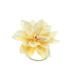 Zac's Alter Ego Cream Water Lily Flower on Elastic