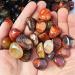 LVYAN Natural Banded Agate Stone Madagascar Good Luck Raw Gemstone Body Heathy Specimen Beautiful Collection Gift Dark Khaki L - Buy Online on SooperMarket.com