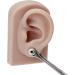 Silicone Ear Model Left and Right Soft Flexible Model Fake Ear Piercing Practice Human Ear Model Silicone Ear for Jewelry Display Acupuncture Teaching (#3) - Buy Online on SooperMarket.com
