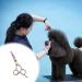 Dog Grooming Scissors Stainless Steel Pet Curved Shears Cutting Trimming Scissors with Round Tip for Grooming Dogs Cats - Buy Online on SooperMarket.com