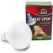 Terra Exotica 75W Heat Spot Bulb for Reptiles - 3 Pack Terrarium Lighting - Optimal Heat for Reptile Habitats - 25W 40W 60W 100W 150W Options Available - Buy Online on SooperMarket.com