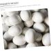 Yardwe 12pcs Fake Eggs Minieggs Household Egg Props Mini Egg Graffiti Plastic Eggs Fake Bird Eggs Parrot 1.6x1.2cm White - Buy Online on SooperMarket.com