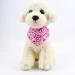 Shop Taozoey 3PCs Dog Neckerchief & Bandana - Stylish Accessories for Small & Medium Dogs & Cats - Buy Online on SooperMarket.com