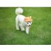 Bbeart Camouflage Pet Hat - Sports Cap with Ear Holes & Chin Straps for Medium & Large Dogs (XL) - Stylish Leisure Visier & Sun Protection - Buy Online on SooperMarket.com