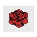x Microfiber Lens Cleaning Cloths (LC00024963) "Red Rose Flower"