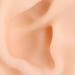 Silicone Ear Model for Acupuncture Practice | Realistic Fake Ear with Presentation Stand - International Shipping Available - Buy Online on SooperMarket.com
