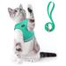 Supet cat dishes Breakfast Cat lines with dishes for cats soft cats vest with leash for kitten dogs chihuahua (l lime green) l (breast size: 38-43 cm)