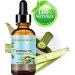 Buy 100% Pure Moringa Oil - Cold Pressed Carrier Oil for Skin Hair Lips & Nails | Nutrient-Dense Natural Beauty | 1 Fl. oz. (30 ml - Buy Online on SooperMarket.com
