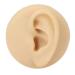 Human Ear Model Left Ear Soft Lifelike Fake Ear Model for Teaching Demonstration - Buy Online on SooperMarket.com