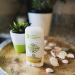 Stinkbug Naturals Unscented All Natural Deodorant - 2.1 Ounce - Buy Online on SooperMarket.com