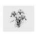 2 x Microfiber Cleaning Cloths "Iris Flowers" (LC00024434)