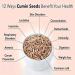 nalAmudhu Jeeragam | Jeera | | Cuminum cyminum |Cumin Seeds-200g  - Buy Online on SooperMarket.com