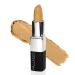 Palladio stick concealer long-lasting daily full to medium cover natural cover for dark circles and color correction practical smooth stick form medium 1 piece (1 Pack) medium