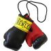 Buy BENLEE Rocky Marciano Miniature Boxing Gloves - One Size Black | International Shipping Available - Buy Online on SooperMarket.com