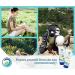 After Sun & Sting Relief Aloe Vera Soothing Gel | 6 Fl oz Paraben Free Cooling Gel for Bug Bites & Sunburn | Stream2Sea - Buy Online on SooperMarket.com