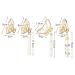 Shop Stylish Metal Hair Clips - 4-Pack Gold Butterfly Design | Fashionable & Slipproof Hair Jewelry - Buy Online on SooperMarket.com