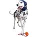MPS Medical Pet Shirt Head Cover for Dogs Large - Buy Online on SooperMarket.com