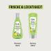 Guhl Freshness & Lightness Anti-Fat Shampoo 250ml - Ideal for Oily & Normal Hair - International Shipping Available - Buy Online on SooperMarket.com