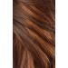 Sensationnel Butta Lace Front Wig - Hand-tied HD Transparent Lace with Babyhair - BUTTA Unit 10 (FLAMBOYAGECHOCOLATE) - Buy Online on SooperMarket.com