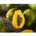Buy Food to Live Dried Diced Papaya - 2 lbs | Kosher Vegan Unsulfured | Bulk Sweetened Fruit - Buy Online on SooperMarket.com