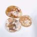 Crystal Rough 1pc raw Natural Rough Uncut Agate Quartz Crystal Gemstone for Astrology - Buy Online on SooperMarket.com
