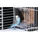 Automatic Bird Feeder No Mess Bird Feeder Bird Cage Feeder Bird Cage Accessories for Parakeet Canary Cockatiel Finch - Buy Online on SooperMarket.com