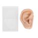 Piercing Practice Model: Soft Silicone Ear Simulation for Acupuncture Practice in Hospital Display - Buy Online on SooperMarket.com