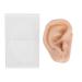 Silicone-ear model ear acupuncture model fake ear sample with presentation stand for the presentation simulation of ear acupuncture practice