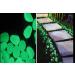 VViViD Green Glow in the Dark Pigment Powder - 30g/1oz Packet - Buy Online on SooperMarket.com