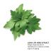 bareMinerals Skinlongevity Vital Power Moisturizer SPF 30 Cedar 11 - 1.18 Fl Oz - Buy Online on SooperMarket.com