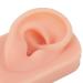 Fallen Ear Model - Soft Silicone Right Ear for Piercing Training & Headphone Display (Light Skin Color) - Reusable & Multi-Purpose - Buy Online on SooperMarket.com