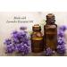 Organic Lavender Goats Milk Soap Bar - 4.5 oz, Gentle Face & Body Cleanser - Buy Online on SooperMarket.com