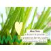 Babo Botanicals After Sun Soothing Mist - Organic Aloe Vera & Cucumber - For Face, Body, Sensitive Skin - EWG Verified - Alcohol-Free - 8 oz - Buy Online on SooperMarket.com