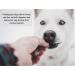 Small Buffalo Horns x 5 Natural Dog Treats Chews LPD - Buy Online on SooperMarket.com
