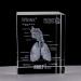 Model of The Human Respiratory System 3D Carved Crystal Medical aids - Buy Online on SooperMarket.com