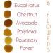 Honey Avocado Flower 100% Raw Pure Spanish Natural Unpasteurised Fresh Certified Avocado Flower Honey 1 Kg - Buy Online on SooperMarket.com
