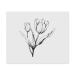 2 x 'Tulips' Microfiber Lens/Eyeglass Cleaning Cloths (LC00021407)