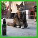 Smokey's Stash Catnip Spray - 2 Ounce Premium Potency Treat for Cats - Buy Online on SooperMarket.com