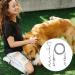 10ft Dog Tie Out Cable with 15" Spiral Ground Stake Spike for Small to Medium Dogs Up to 60 lbs for Playing Camping Outdoor Yard and Backyard in Ground (White) - Buy Online on SooperMarket.com