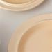 Serving Plates Dessert Plate Simple Round Tableware Beige Breakfast Plate Dinner Salad Plate Kitchen Restaurant Cafe Simple Plain Plate for Appetizer Dinner and Desserts - Buy Online on SooperMarket.com