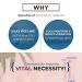 A'PIEU Glycolic Acid Cream 1.69 fl oz - Korean Facial Exfoliating Peeling Gel - Buy Online on SooperMarket.com