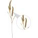Zerodeko 3pcs Simulated Ears of Corn Plant Decor Dried Wheat Stalks Artificial Wheat Ears Artificial Grasses Bundle Fake Wheat Ears Simulation Wheat Ears Dried Millet Household Iron Straw Greenx3pcs 12X75CMx3pcs - Buy Online on SooperMarket.com