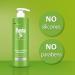 Plantur 39 Caffeine Shampoo 500ml with Dispenser - Prevents Hair Loss | Set with Conditioner - Fine Brittle Hair | Supports Hair Growth - Buy Online on SooperMarket.com